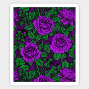 Purple roses Sticker